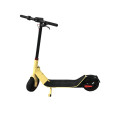 500Watt Two Wheels Off-Road Electric Scooter Adults